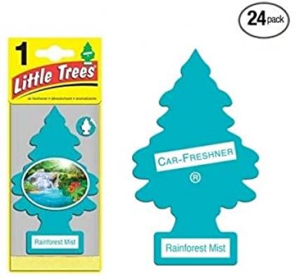 LITTLE TREE - RAINFOREST