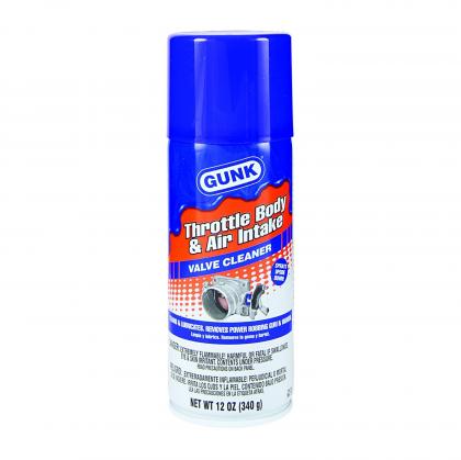 THROTTLE BODY & AIR INTAKE SPRAY
